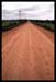 reddirtroad